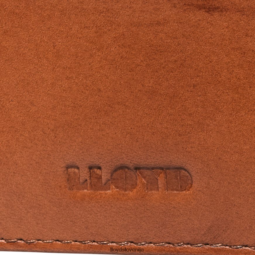 LLOYD etui za kreditno kartico moški dodatki rjav 4HJ444661